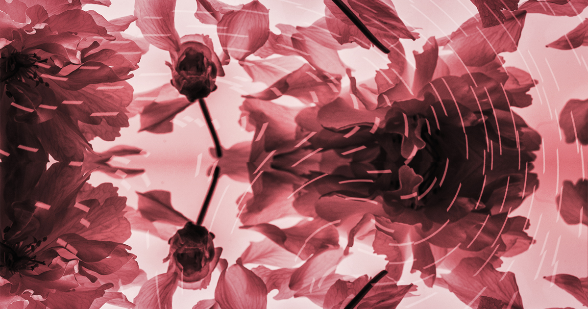 dissolvenze (fading)