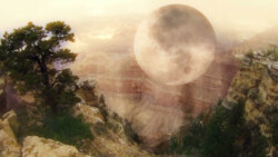 VETUSTO - MARCELLO ZAPPATORE